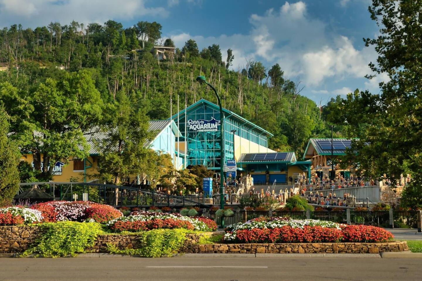 5Br Smoky Cabin Hot Tub, Games, 1 Mi To Parkway Pigeon Forge Bagian luar foto
